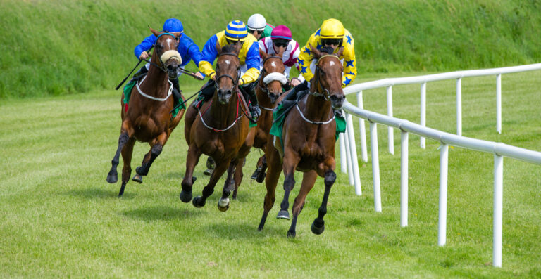 How to Calculate Horse Racing Betting Odds and Payoffs Horse Racing Betting Odds